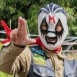 マスブチ仮面